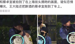 吃瓜爆料王大陆视频下载,独家下载，一睹明星风采