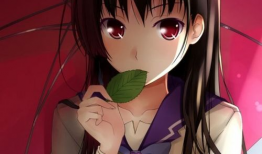 女主是黑长直的动漫